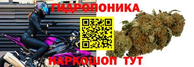сатива Апрелевка