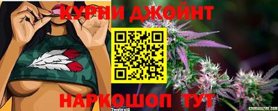 сатива Апрелевка