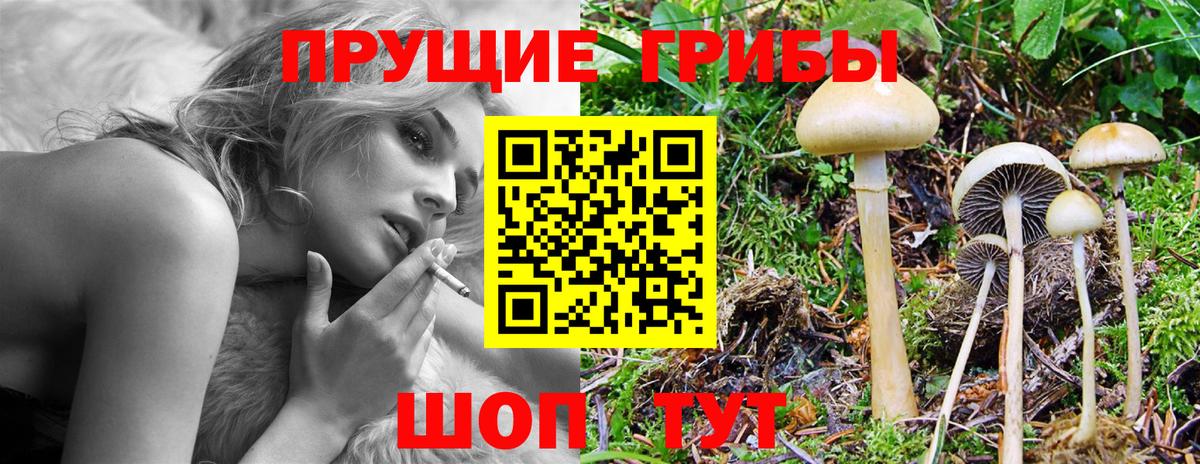 Владивосток  Псилоцибиновые грибы GOLDEN TEACHER  Вход с VPN 