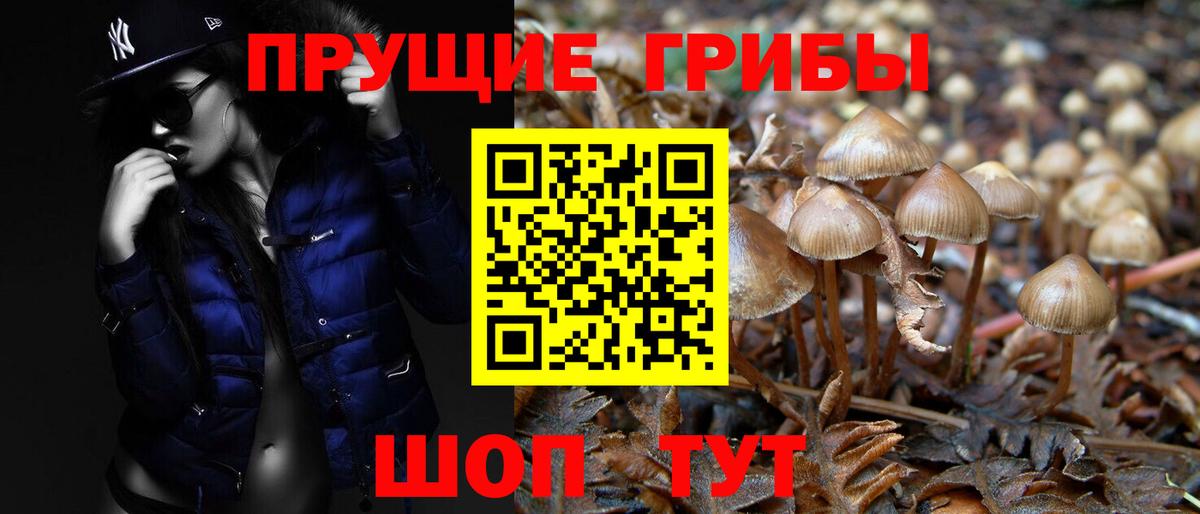Псилоцибиновые грибы Psilocybine cubensis Владивосток