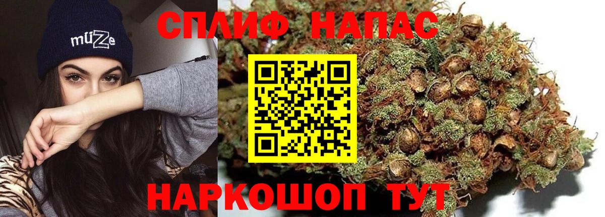 Бошки марихуана сатива Владивосток